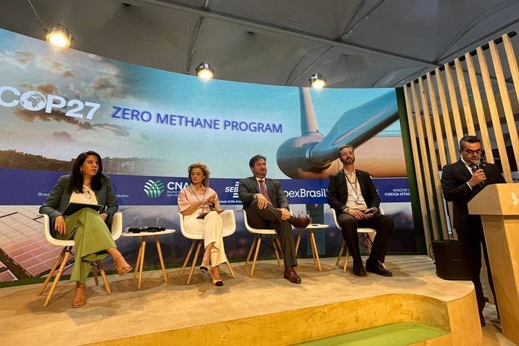 Registro da participação na COP27